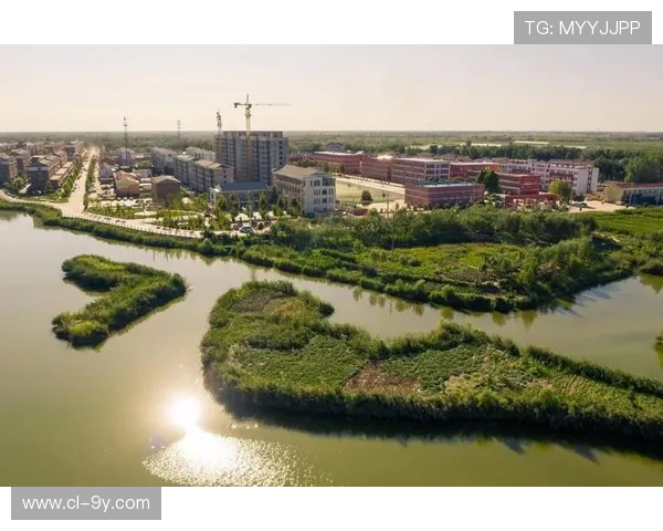 聚焦德州临邑激战正酣的地方足球赛事全景深度观察未来发展趋势展望